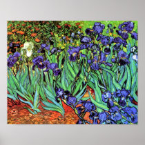 Van Gogh Irises Poster