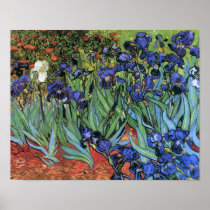 Van Gogh Irises Poster