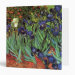 Front/Inside