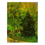 Van Gogh Lane Public Garden Arles (F470) Postcard