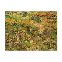 Van Gogh Meadow in the Garden, Saint Paul Hospital Postcard