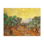 Van Gogh Olive Trees Post Cards
