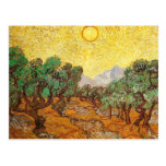 Van Gogh Olive Trees Yellow Sky & Sun (F710) Post Cards