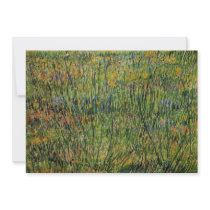 Van Gogh; Pasture in Bloom Announcements