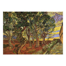 Van Gogh; The Garden of Saint Paul Hospital Announcement