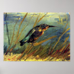 Van Gogh The Kingfisher Poster
