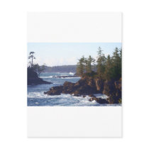 Vancouver Island West Coast in Oils postcards