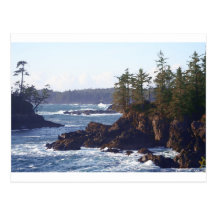 Vancouver Island West Coast in Oils Postcards