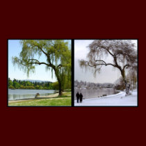 Vancouver Seasons Poster Print Canada Souvenir posters