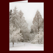 Vancouver Winter Cards Print Canada Souvenir cards