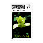 orchids, hawaii, botanical, vanilla