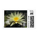 Vanilla Sky postage by utopiaaquatic Vanilla Sky postage