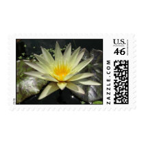 Vanilla Sky stamps