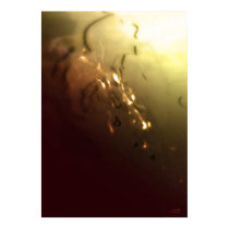 Vanished posters
