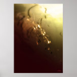 Vanished posters