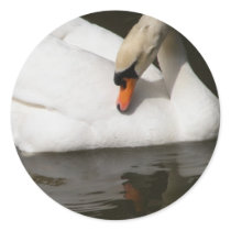 Vanity: Swan Mirror stickers