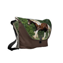 Vanner gitano bolsa de mensajeria 