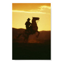 Vaquero en alzar el caballo posters