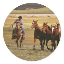 Vaquero que reúne en el rancho calcomanías
