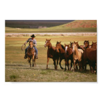 Vaquero que reúne en el rancho posters