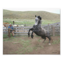 Vaquero y mustango arte con fotos
