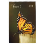 Varia 5 - 2011 Calendar