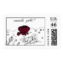 Varicella Zoster stamp stamps
