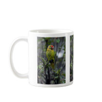 Varied lorikeet, Australia Coffee Mug