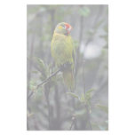 Varied lorikeet, Australia Stationery Paper