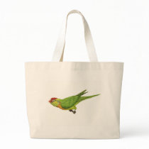 Varied Lorikeet bags