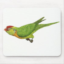 Varied Lorikeet mousepads