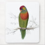 Variegated Parrakeet by Edward Lear Mouse Pad