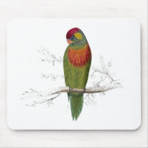 Variegated Parrakeet by Edward Lear Mousepad