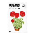 Variegated Red Geraniums Postage postage