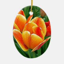 Variegated Tulips by E. Lewis Evans Christmas Ornaments