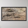 Variety Of Congress, Arizona Rattlesnakes Poster
