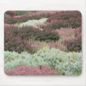 Variety of Heathers mousepads by ggbythebay Variety of Heathers mousepads