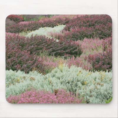 Variety of Heathers Mouse Pad by ggbythebay