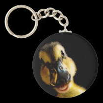 Variety of Products keychains