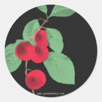 Variety Villa Sticker stickers