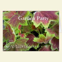 Varigated Geranium Notecard, Garden Party cards