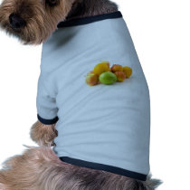 Various Multi Colours Fruits On White Background pet clothing by lifesphere Various Multi Colours Fruits On White Background pet clothing