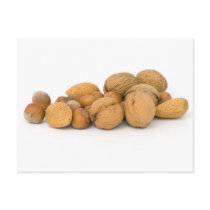 Various Nuts Including Hazelnuts Walnuts And Almon postcards