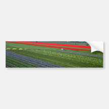 Various patches of flowers, Netherlands  flowers Bumper Stickers