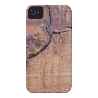 Varnished Wood Textures iPhone 4 Case
