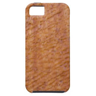 Varnished Wood Textures iPhone 5 Cover