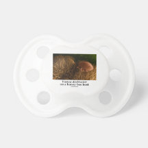 Varroa destructor On A Honey Bee Host Baby Pacifier