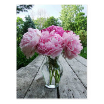 Vase of Pink Peonies postcards