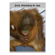 Vasectomy Surgery Humor Card