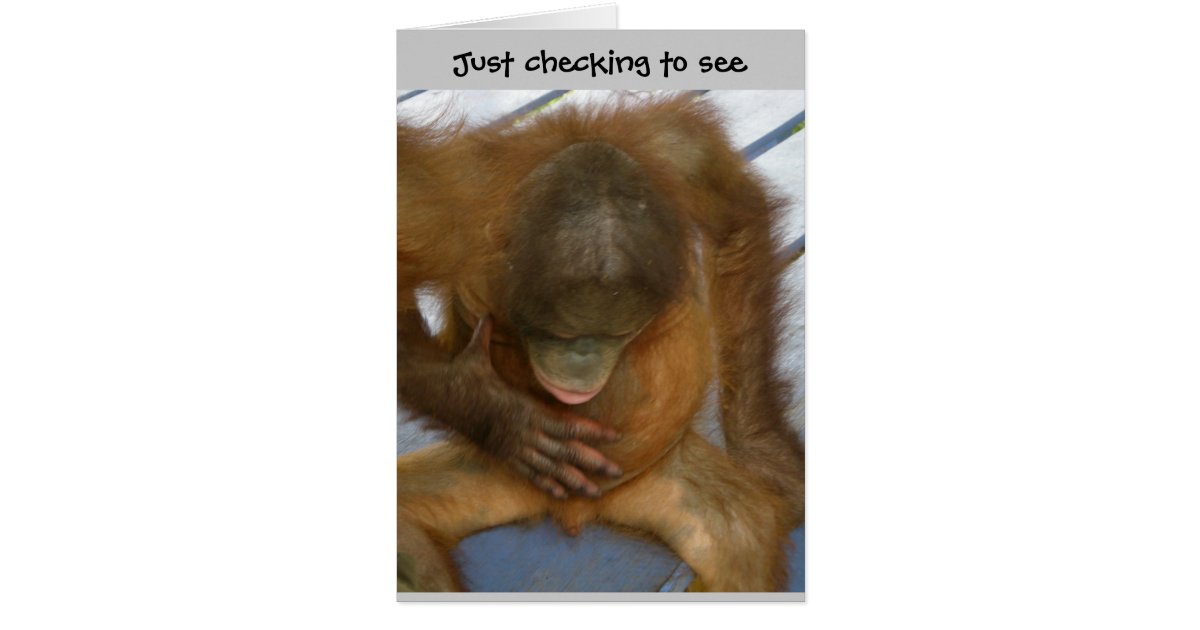 Vasectomy Surgery Humor Card | Zazzle